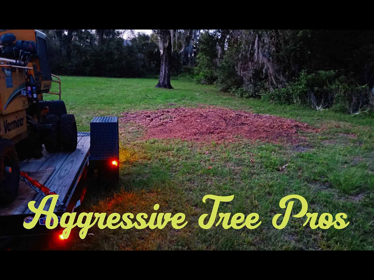 Completed stump grinding showing the ground stump area ready for cleanup and landscape restoration in Lake Mary, Florida