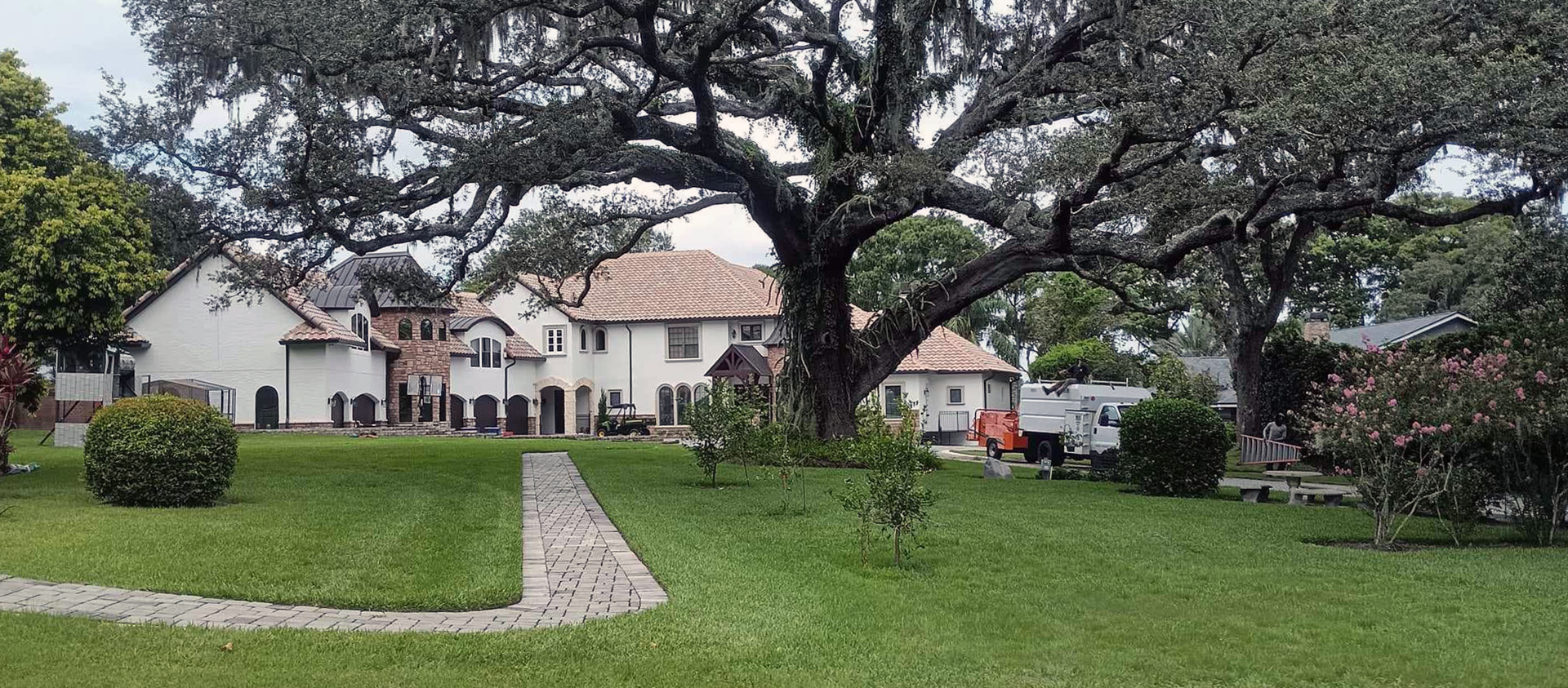Aggressive Tree Pros & Stump Grinding, LLC - Setting new standards in the tree care industry in Central Florida