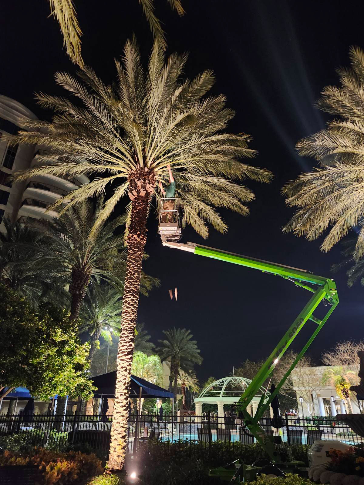 Tree Commercial Commercial Tree Services in Lake Mary, FL | HOA & Retail Property Tree Care