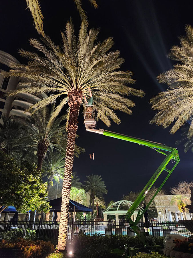 Aggressive Tree Pros Commercial Tree Services in Lake Mary Serving the Greater Orlando Florida Area