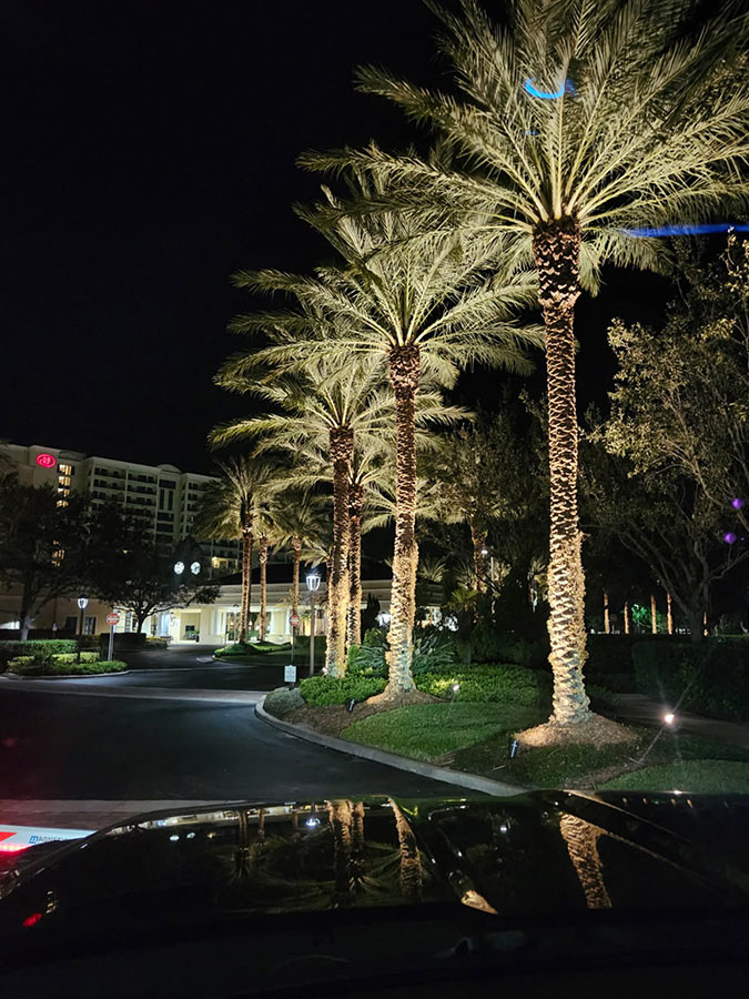 Aggressive Tree Pros Commercial Tree Services in Lake Mary Serving the Greater Orlando Florida Area