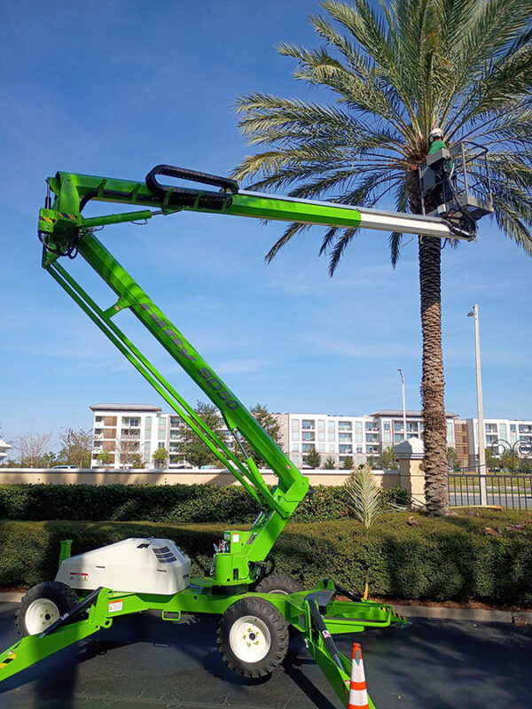 Tree Commercial Commercial Tree Services in Lake Mary, FL | HOA & Retail Property Tree Care