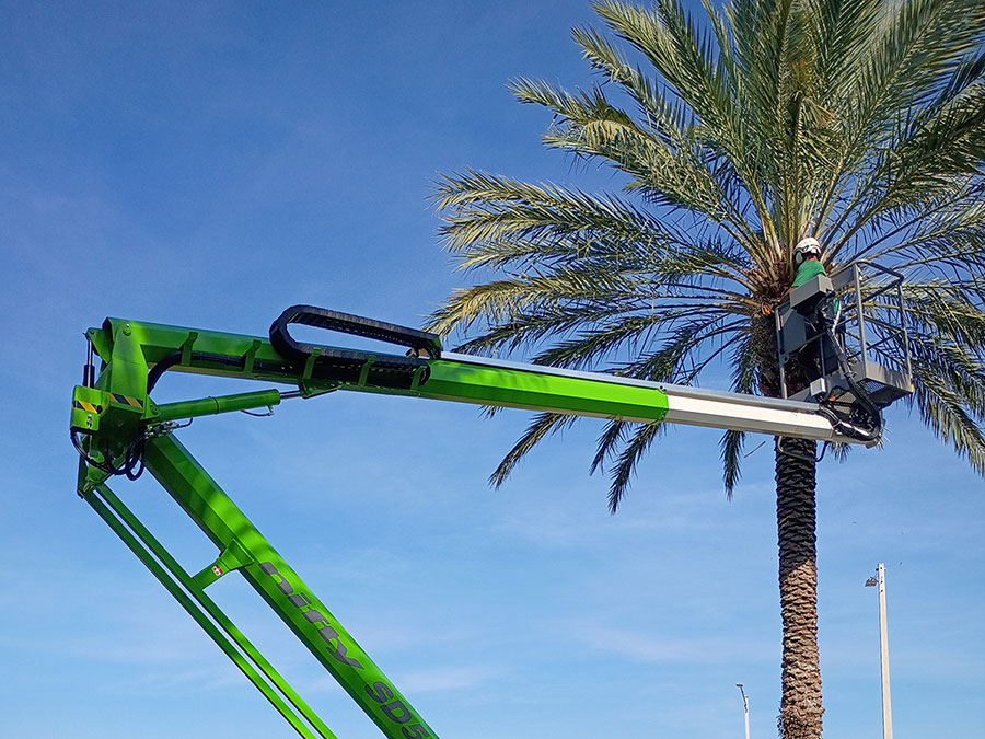 Commercial Services at Aggressive Tree Pros & Stump Grinding, LLC in Central Florida