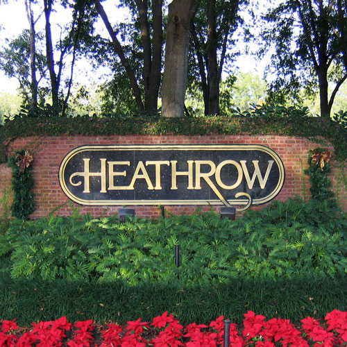 Aggressive Tree Pros & Stump Grinding, LLC - A Full-Service Tree Company in Heathrow, Florida 