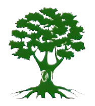 Aggressive Tree Pros & Stump Grinding, LLC – Setting new standards in the tree care industry in Central Florida Aggressive Tree Pros - Setting new standards in the tree care industry in Central Florida