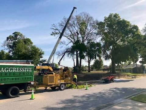 Aggressive Tree Pros using a crane for emergency tree removal at an Orlando golf course