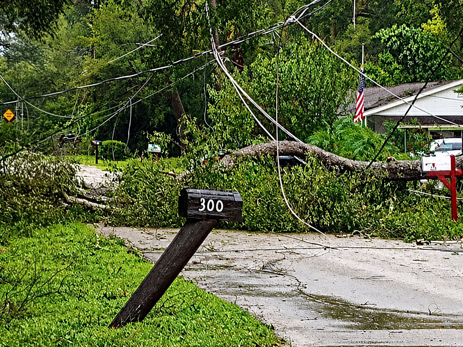 Storm-damaged tree blocking a residential street with downed utility lines after severe weather in the Orlando, Florida area