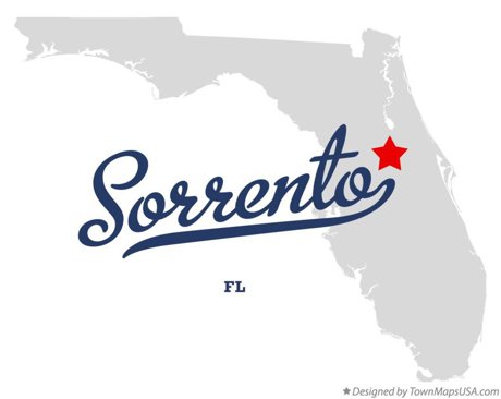 Aggressive Tree Pros & Stump Grinding, LLC - A Full-Service Tree Company in Sorrento, Florida 