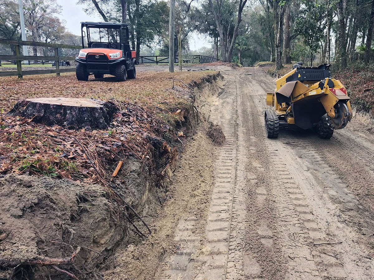 Stump grinding machine removing a tree stump to help prevent future stump regrowth on a residential property in lake Mary, FL
