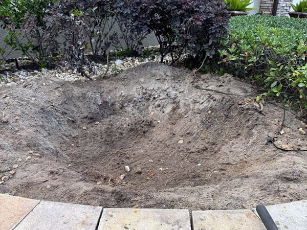 Landscape bed after stump grinding in Apopka, FL, showing the cleared stump area with the retaining wall and shrubs intact.